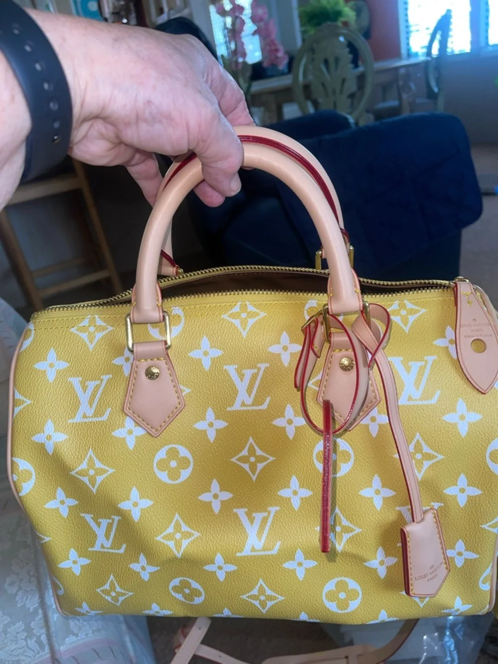 Speedy 30 new - Picture 9 of 13